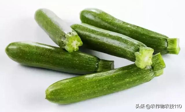 蔬菜名称大全和图片，所有蔬菜种类（这些五花八门的蔬菜名字）