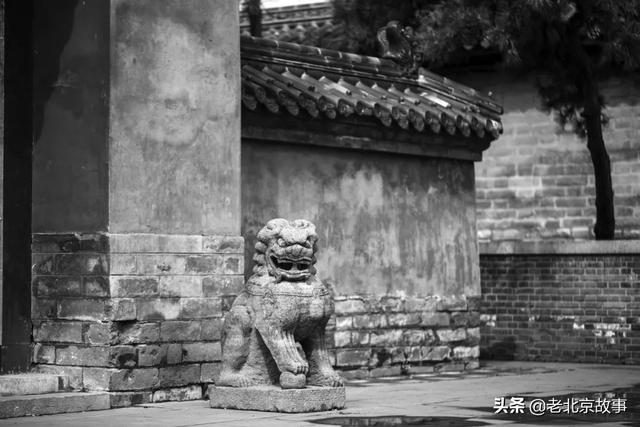 拍婆子是什么意思，什么叫拍婆子的地方（\