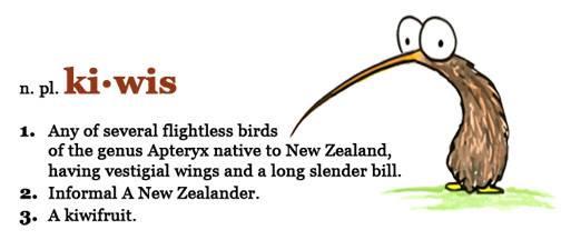 kia是什么意思，彼岸花的花语是什么意思（雅思大神都不能完全听懂的新西兰英语）