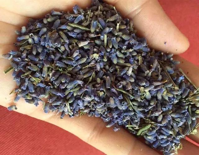 不锈钢盆可以放烤箱吗，烤箱里可以放不锈钢盆吗（10种花最养人）