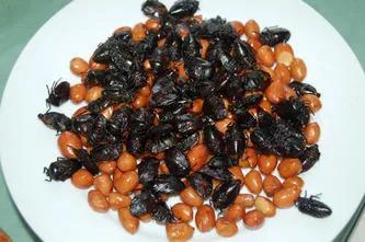 弟弟的惊喜400字作文，弟弟的作文怎么写（弟弟总是能给我一些惊喜）