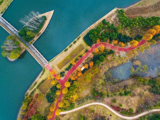 淝水是哪条河的支流，淝水之战中淝水是哪个河的支流（安徽省有四条淝河）