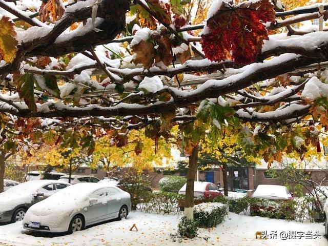 情侣唯美雪景图片，情侣唯美雪景图片真实（冬日初雪印象：一半冬雪）