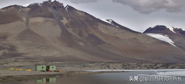 海底最深处的生物，10000米恐怖深海鱼（南极深处真的存在巨大的生物吗）