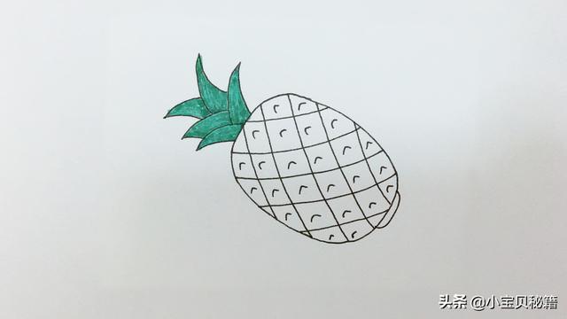 菠萝简笔画图片，菠萝简笔画怎么画（简笔画系列：菠萝简笔画）