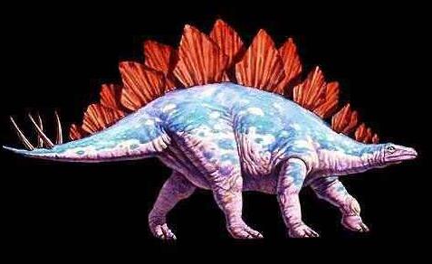 恐龙分类及图片名称图解，各种恐龙的资料介绍大全
