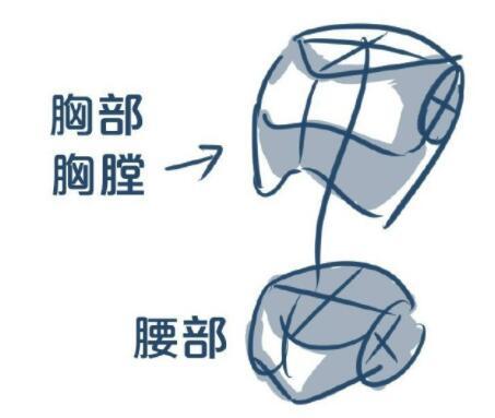 画人全身怎么画简单，超详细的身体绘制画法教程（画人全身怎么画简单古风）