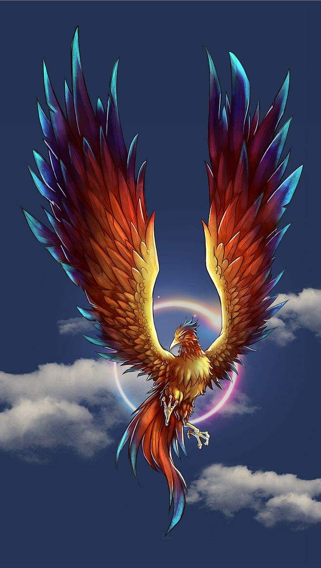 朱雀个凤凰的区别(凤凰和朱雀有何差别?) - 旭辉快讯 - 旭辉网