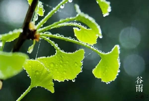 关于谷雨的古诗四句 描写谷雨的古诗大全，关于谷雨的古诗四句（六首谷雨节气诗词）