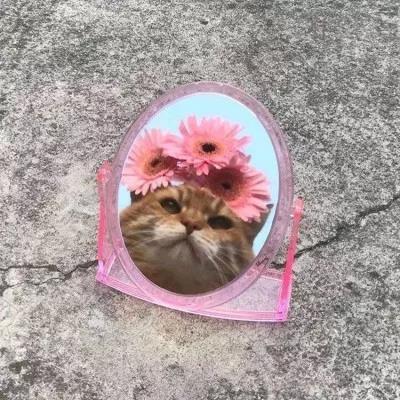 植物大战僵尸头像，植物大战僵尸6人团头微信（在吗？组队换头像啦）