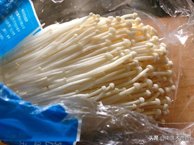 羊肉锅仔的家常做法，锅仔羊肉的做法（一个人份量也能吃到嗨）