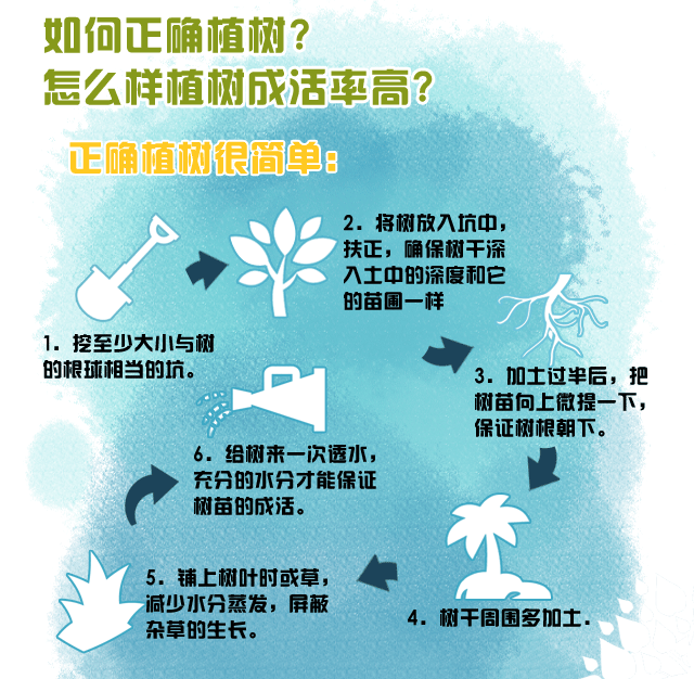 每年的几月几日是中国的植树节 中国植树节的由来，每年的几月几日是中国的植树节（3月12日，国际植树节）