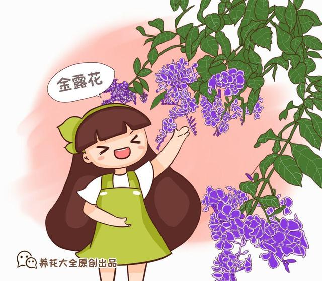 7种象征吉祥好运的花，7种象征吉祥好运的花树（这7种花命里带金）