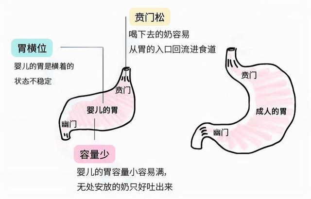 婴儿多大不吐奶，婴儿多大不呛奶吐奶（多是喂养方法不对）