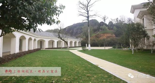 武汉大学艺术学院，武汉大学的音乐学院怎末样（武汉大学2019年艺术类招生简章）