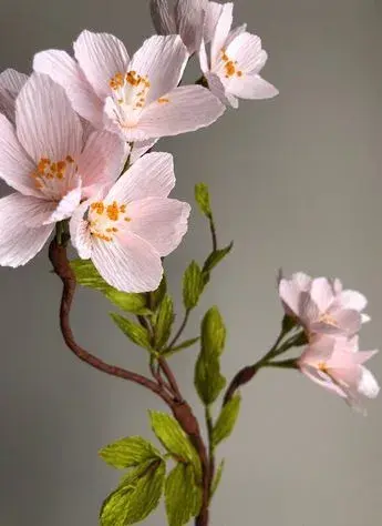手工花朵制作方法，彩纸手工制作花朵的方法（喜欢花哪儿还用买）