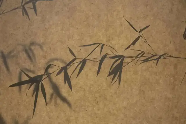 问世间情为何物直教人生死相许，问世间情为何物直教人生死相许什么意思（千古名句：问世间情为何物）