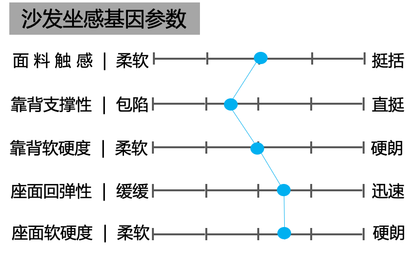 睿博（斯高沙发测评）