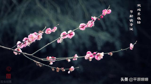 419什么意思，419什么意思（年轻人的生活不应该是857与419）