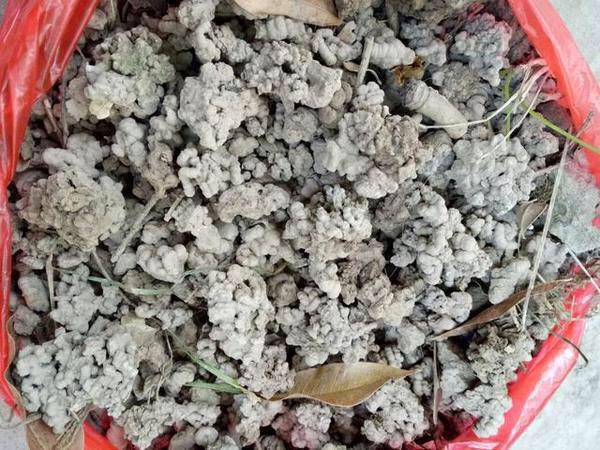制作花卉营养土的方法，就能自制营养土了