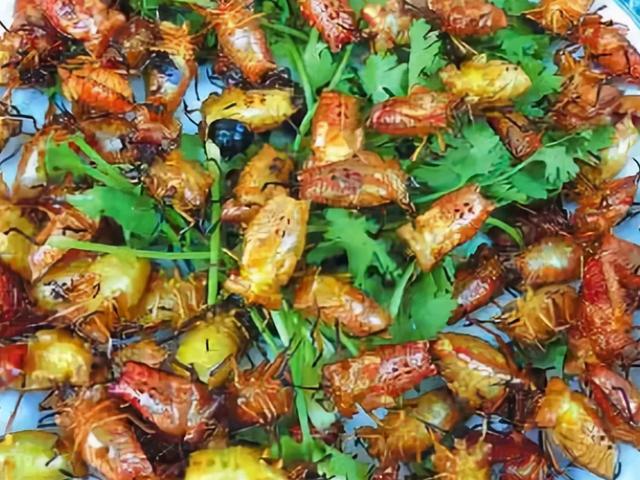 很臭的虫子叫什么，马陆虫怎么彻底消灭（俗称“臭大姐”）