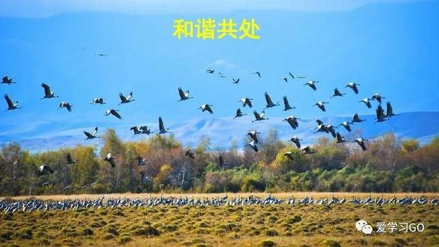 赛跑的拼音，赛跑的拼音怎么读（部编版二年级下册第23课《祖先的摇篮》知识点+图文讲解）