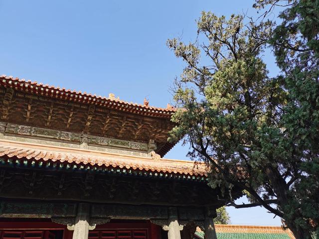 孔子的老家在哪里，孔子的家在哪里（孔子故里 东方圣城—曲阜）