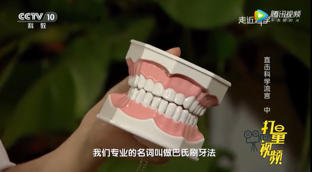 儿童换牙顺序图，大牙可以换吗儿童换牙顺序图（爸妈一定要知道<建议收藏>）
