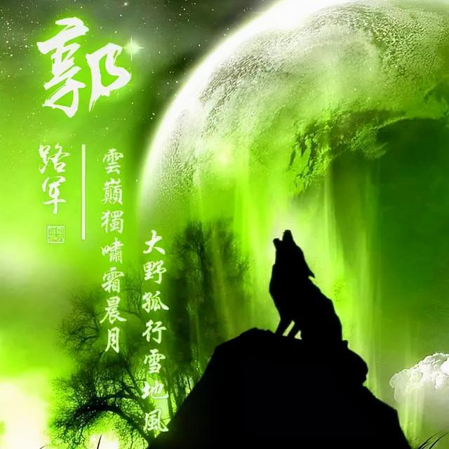 狼图片头像 凶猛 霸气 冷酷，100张姓氏霸气狼头像（100张“血性狼”姓氏头像、送给在困境中坚持梦想的你）