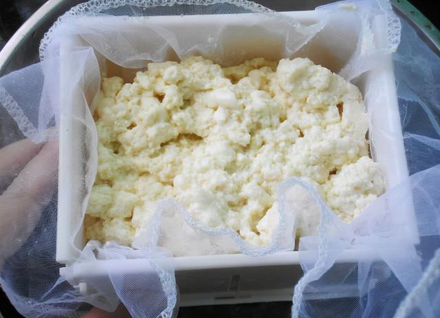 水豆腐的制作方法及配方，自制水豆腐的家常做法（15分钟出豆腐）