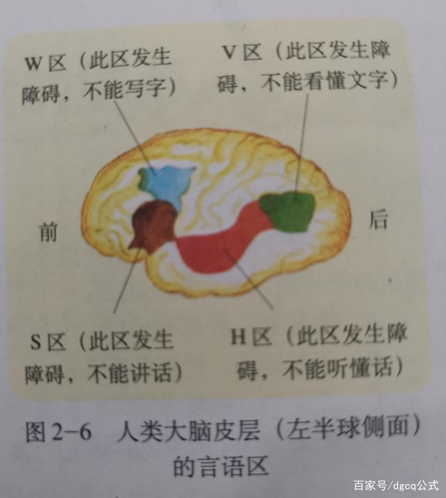 非条件反射和条件反射的区别，如何区分条件反射和无条件反射（神经调节的相关知识）