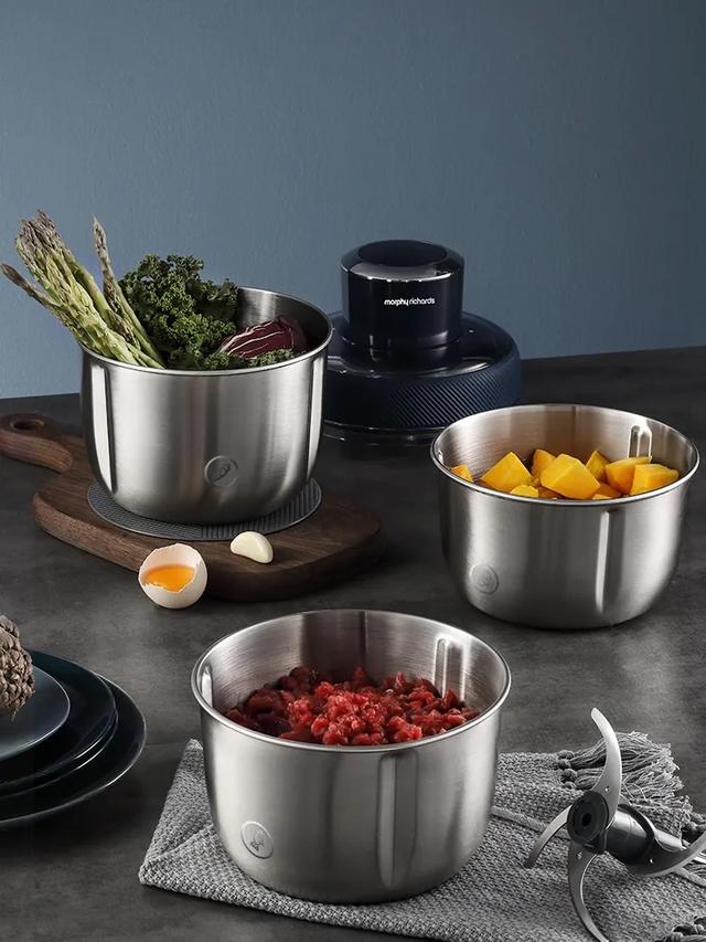 绞肉机什么牌子好，如何选购家用绞肉机（厨房必备：料理快人一步）