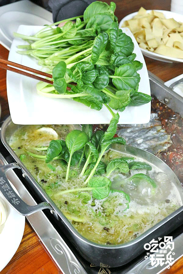 合肥齐祺渔锅地址，齐祺渔锅官网地址（邯郸这家专门吃鱼的店）