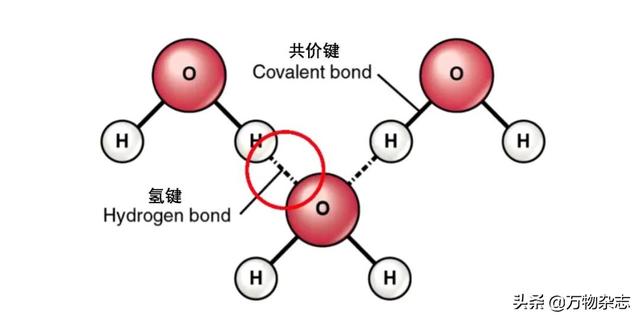 桑蚕丝衣服容易皱怎么办，桑蚕丝衣服真的不要买（衣服为什么动不动就皱巴巴）