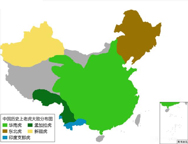 东北虎有何特点，东北虎的缺点（浅谈老虎在中国的古今生存状态）