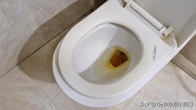 厕所堵了如何自己疏通，马桶堵异物堵住快速取出（只需用一个塑料瓶）