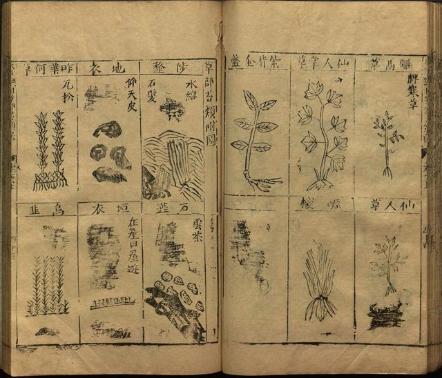 本草纲目全书带图，李时珍本草纲目全书（李时珍著《本草纲目》附图卷）