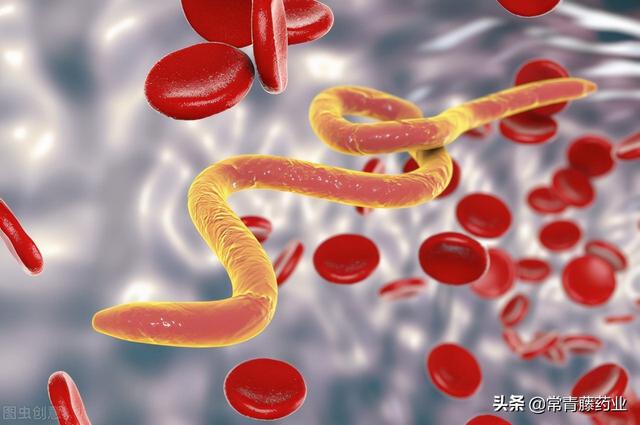 想了解蛔虫，医生一一告诉你，小孩肚子蛔虫图片