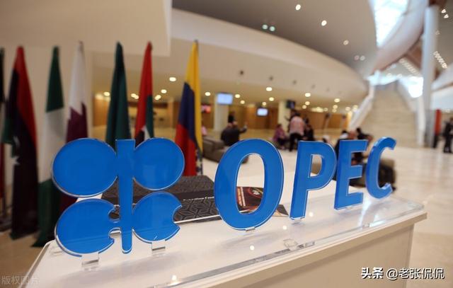 欧佩克属于什么组织，欧佩克组织的形成和演化（欧佩克国际组织的存在的意义）