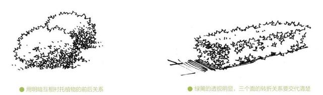 超简单风景速写入门初学者，适合初学者学习的速写中植物配景的画法图解教程