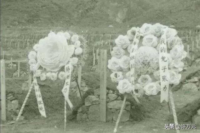 国产经典电影，《高山下的花环》播出后（国产经典电影）