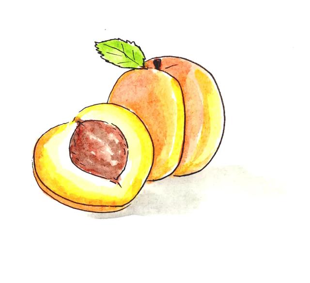 桃组词有哪些，桃的组词有哪些呢（意象解读小学语文同步生字继续二年级）