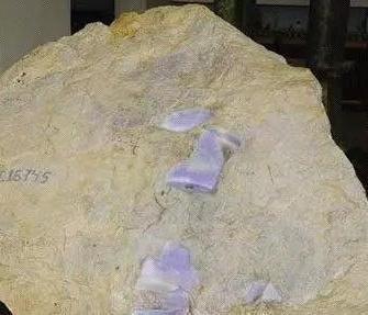 紫云母适合什么人佩戴，紫云母手镯的功效和作用（宝石新星——紫云母）