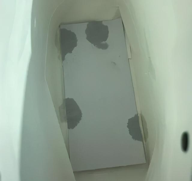 可爱表情包.抱我的小猫腿舔我的jio，微信头像，可爱表情包.抱我的小猫腿舔我的jio（却把评论区逼成了恋jio癖哈哈哈）