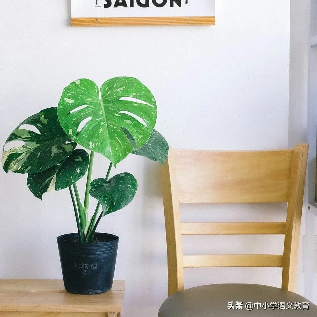 波澜不惊是什么意思，波澜不惊的意思是什么意思（范仲淹《岳阳楼记》带翻译和鉴赏）