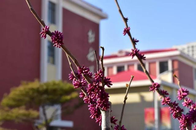 天津农学院是几本，天津农业学院是几本的（天津市普通高等院校）