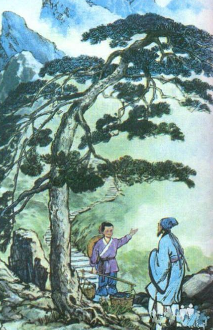 小狗画梅花小猫画什么，小狗画梅花,还有什么画什么（曾经的小学语文插图你还记得几张）