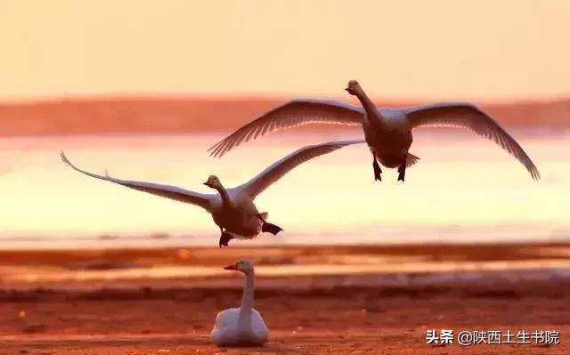 他律是什么意思，他律什么意思（潘麟先生讲授：“人不为己）