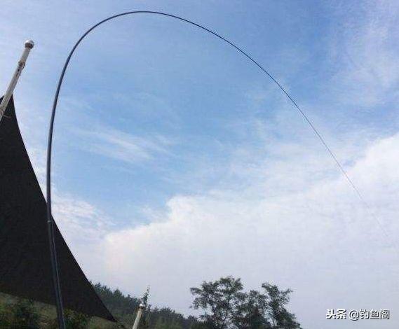 鱼竿6h和8h是什么意思，鱼竿5h6h7h是什么意思（了解一下商家惯用的4种伎俩）