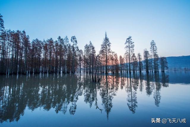 南京景点介绍，南京一日游必去景点推荐（南京九个不得不去的小众景点）